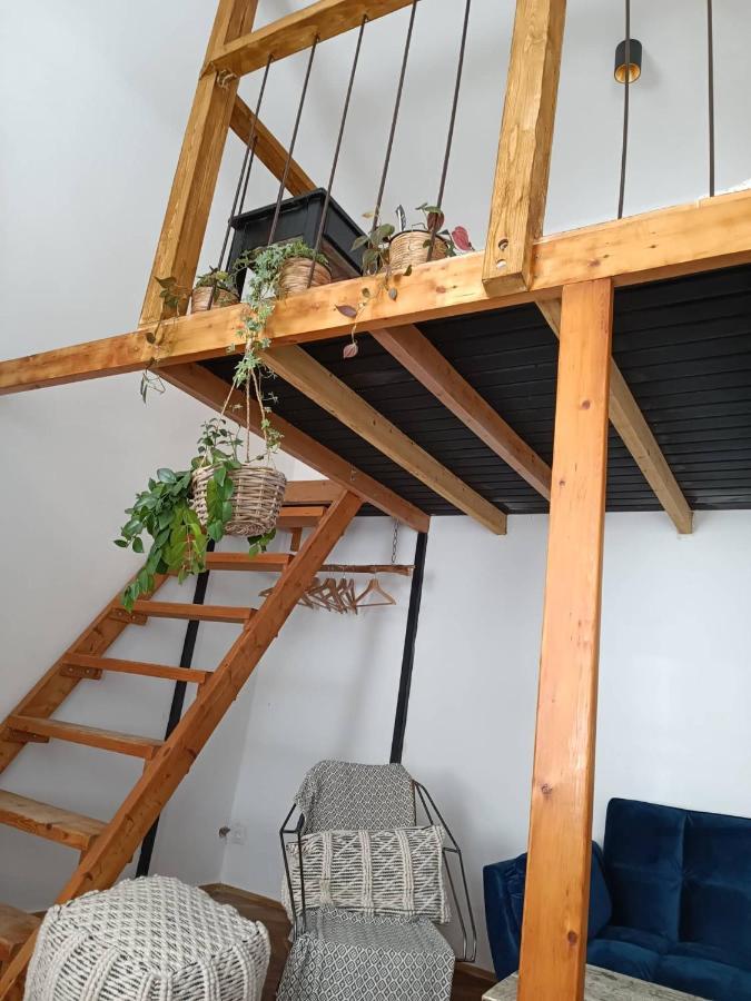 Hipster Paradise Апартаменти